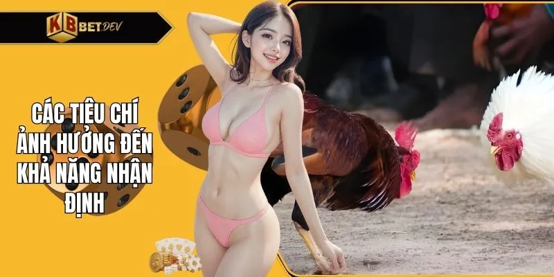 Các tiêu chí ảnh hưởng đến khả năng nhận định