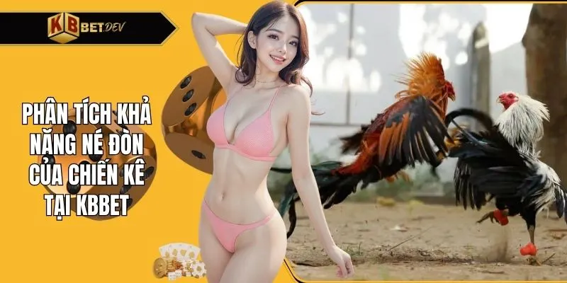 Phân tích khả năng né đòn của chiến kê tại KBBET