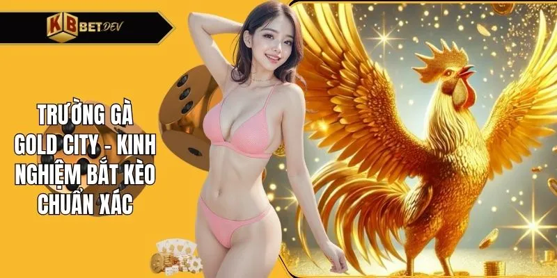 Trường gà Gold City