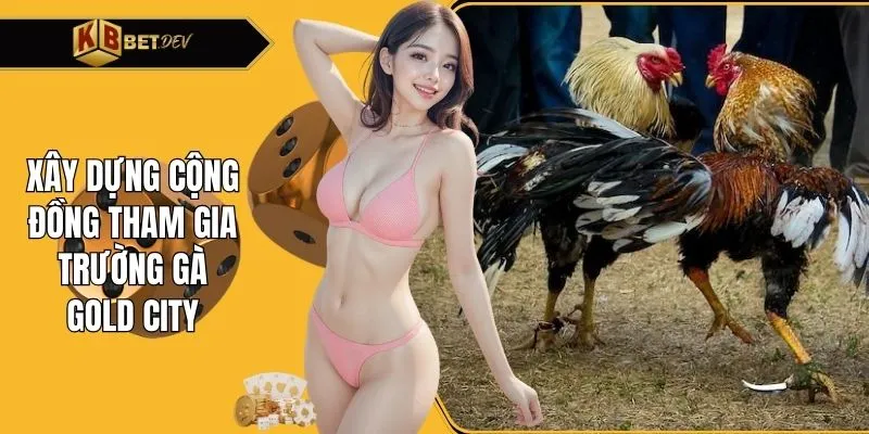 Xây dựng cộng đồng tham gia trường gà Gold City